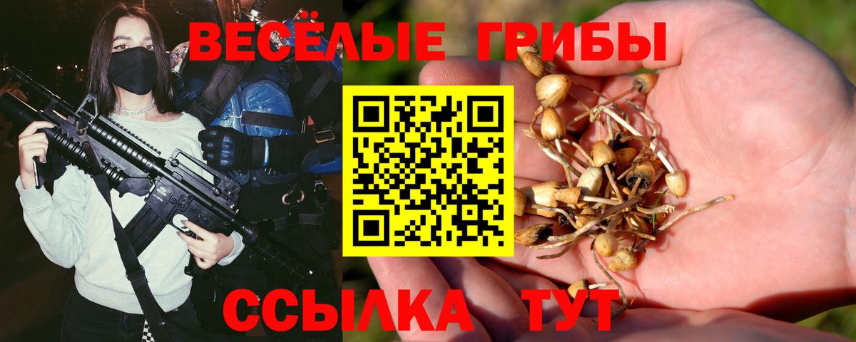 Галлюциногенные грибы GOLDEN TEACHER Березники