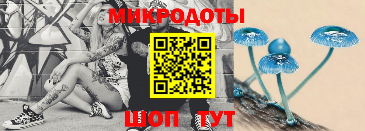 Березники  Галлюциногенные грибы Psilocybine cubensis  Вход с VPN  Галлюциногенные грибы прущие грибы 